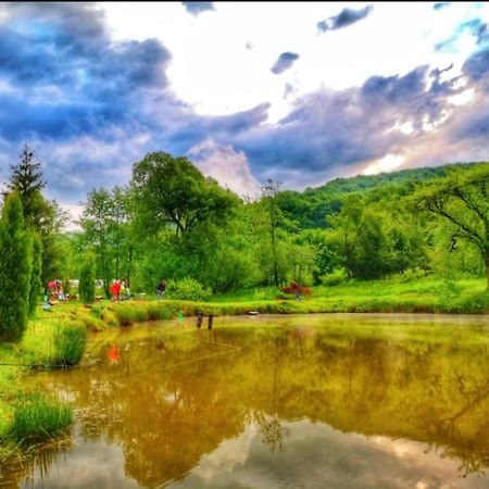 Pensiunea Cerbul - Valea Dobarlaului Dış mekan fotoğraf