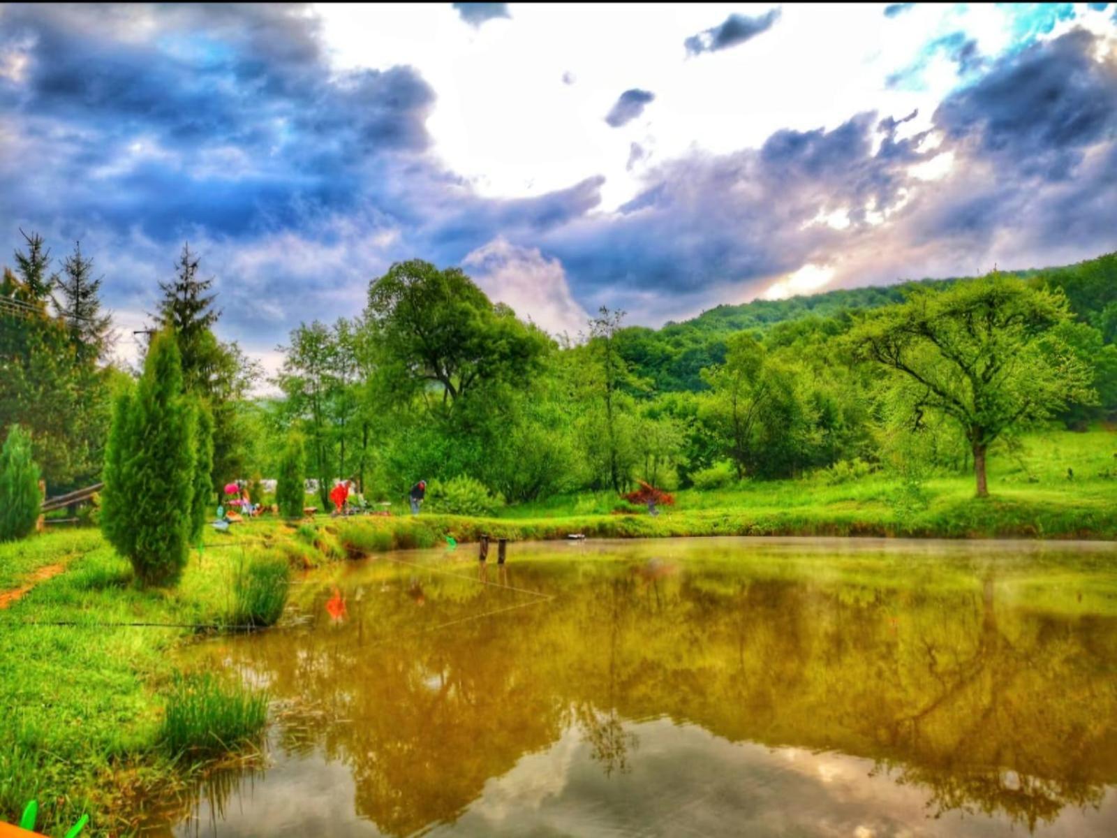 Pensiunea Cerbul - Valea Dobarlaului Dış mekan fotoğraf