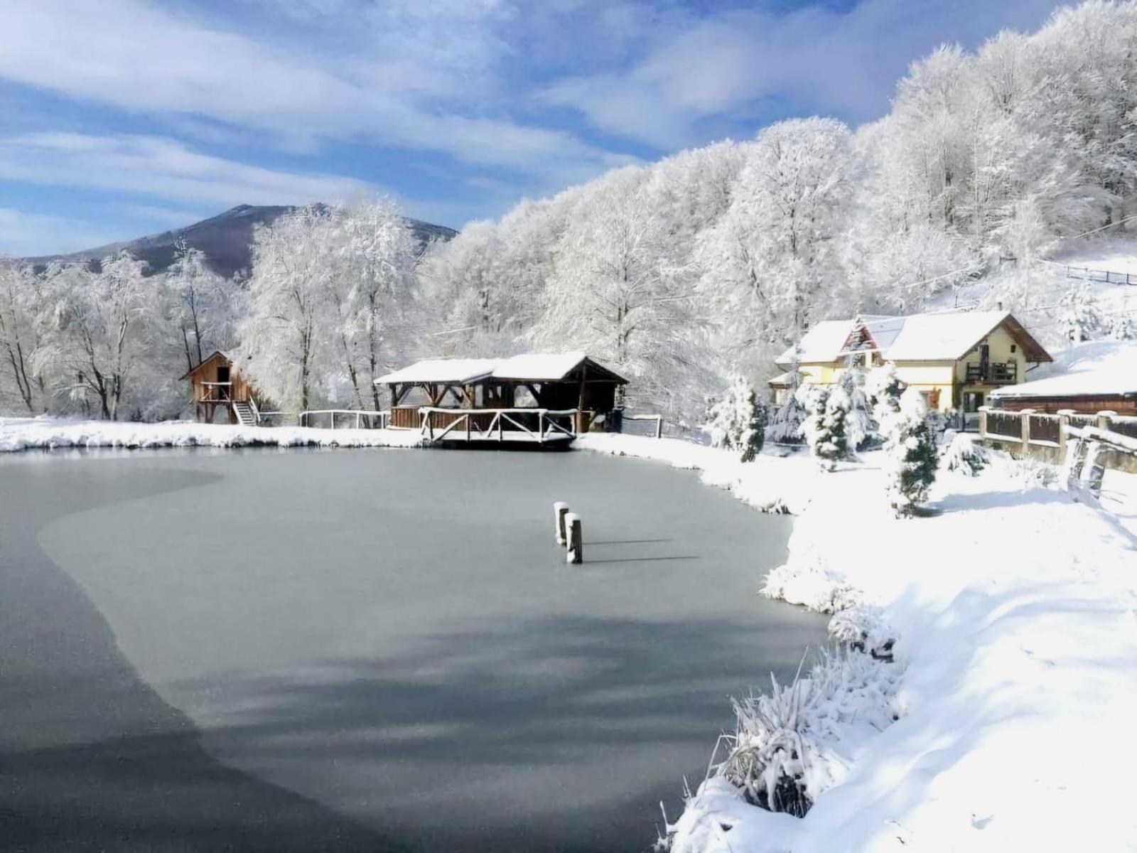 Pensiunea Cerbul - Valea Dobarlaului Dış mekan fotoğraf