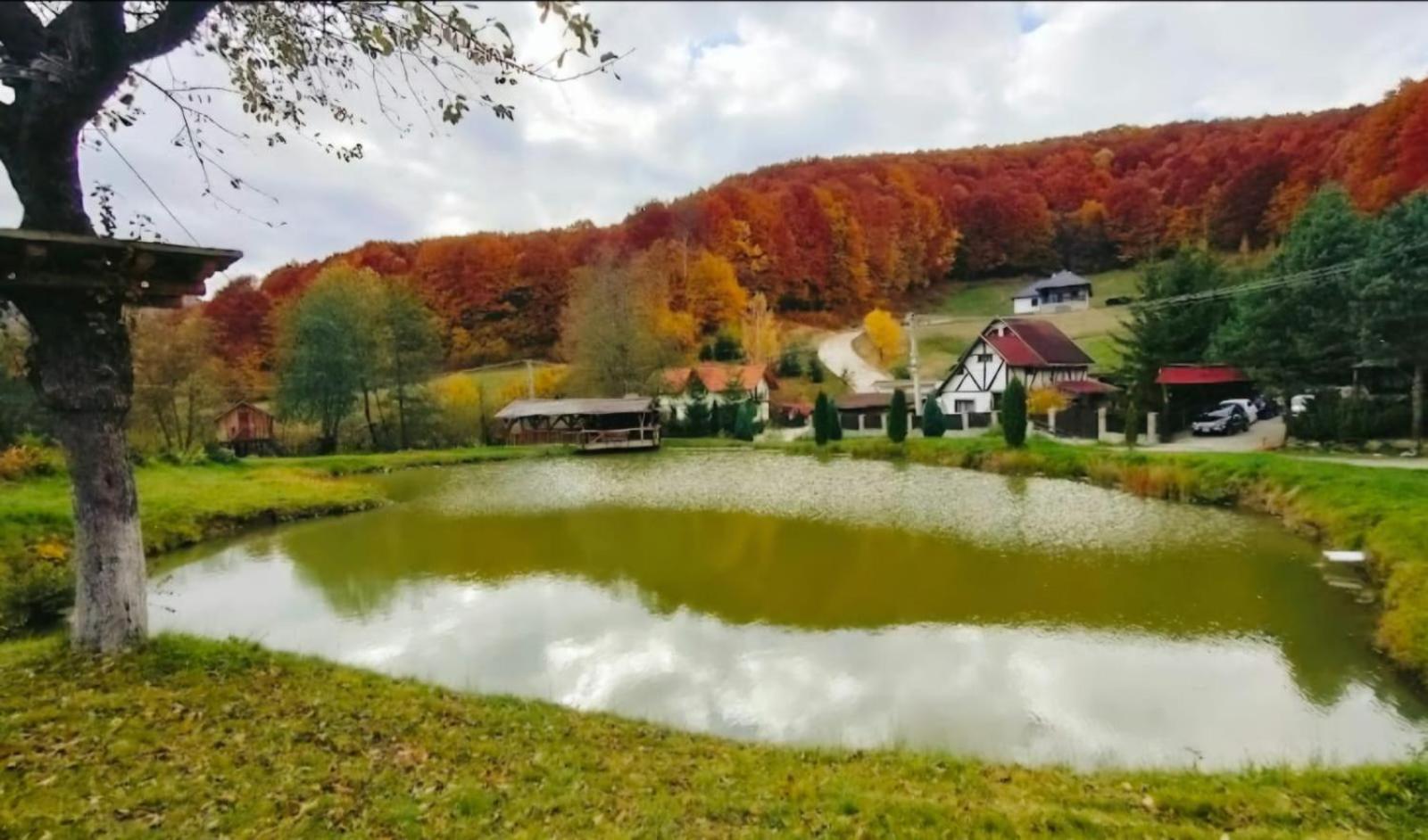 Pensiunea Cerbul - Valea Dobarlaului Dış mekan fotoğraf