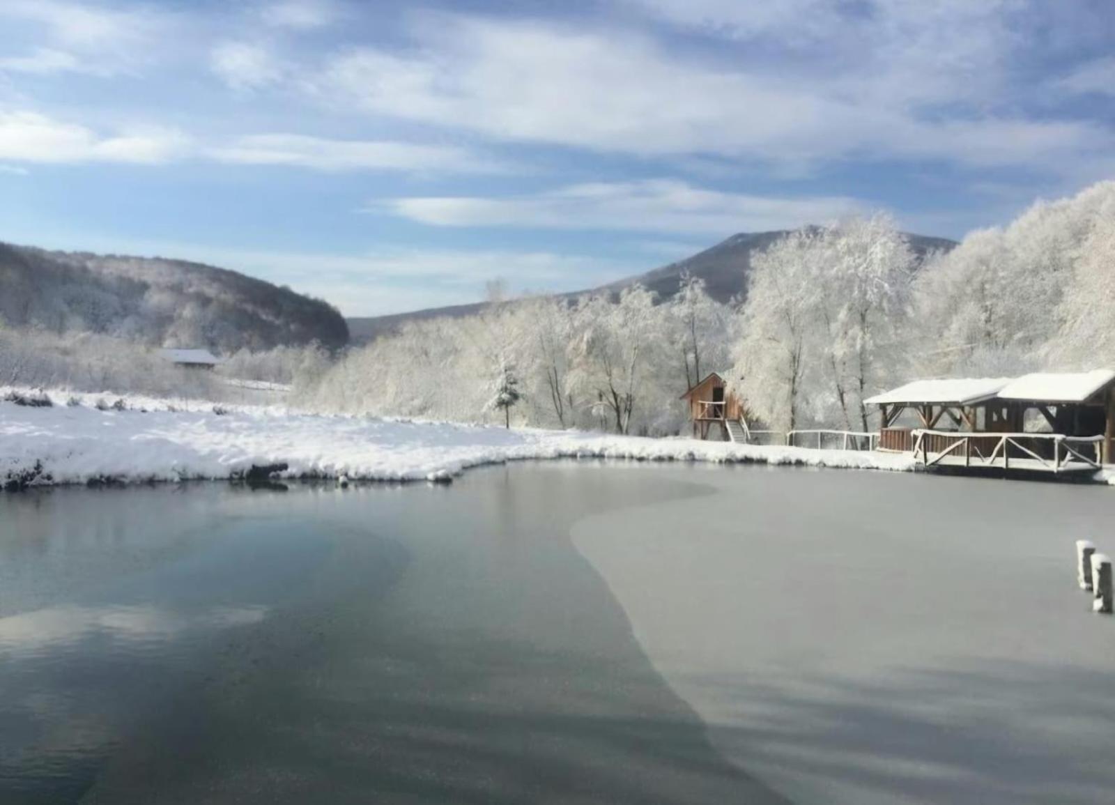 Pensiunea Cerbul - Valea Dobarlaului Dış mekan fotoğraf