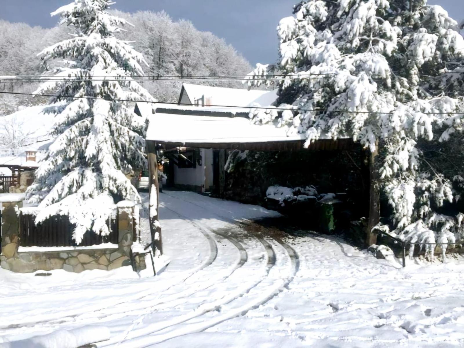 Pensiunea Cerbul - Valea Dobarlaului Dış mekan fotoğraf